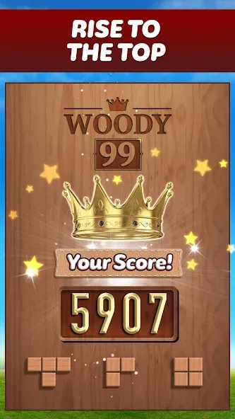 Woody 99 - Sudoku Block Puzzle (Вуди 99)  [МОД Unlimited Money] Screenshot 5
