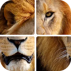 Взломанная Угадай животных по фрагментам  [МОД Бесконечные монеты] - последняя версия apk на Андроид