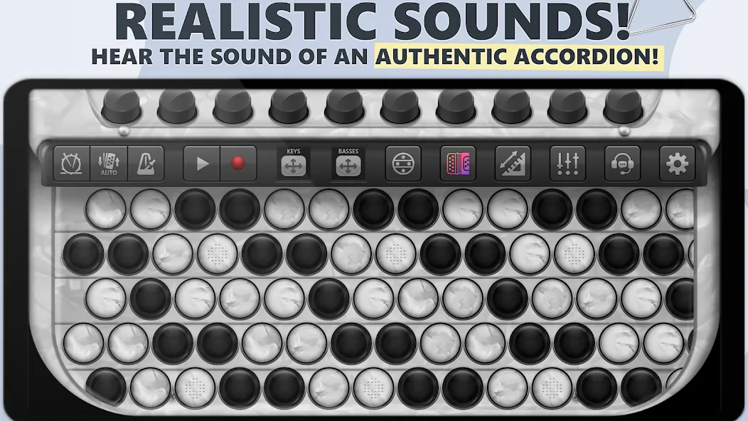 Accordion Chromatic Button (Аккордеон с хроматическими кнопками)  [МОД Mega Pack] Screenshot 1