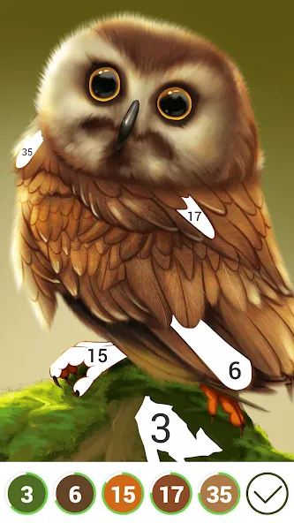 Hola Color--Coloring by Number (ола калор)  [МОД Unlocked] Screenshot 3