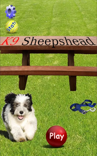 K9 Sheepshead (Schafkopf) (Шипсхед)  [МОД Бесконечные монеты] Screenshot 1