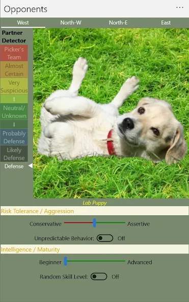 K9 Sheepshead (Schafkopf) (Шипсхед)  [МОД Бесконечные монеты] Screenshot 5