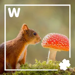 Взлом 7000 words (семь тысяч)  [МОД Unlimited Money] - стабильная версия apk на Андроид