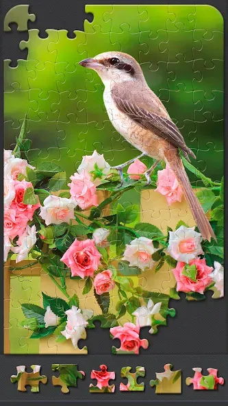 Jigsaw Puzzles for Adults  [МОД Mega Pack] Screenshot 3
